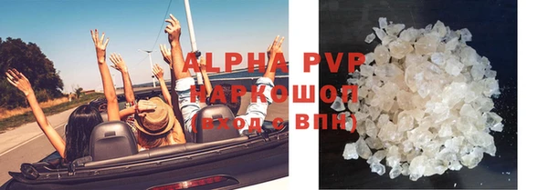 гидра Дмитров