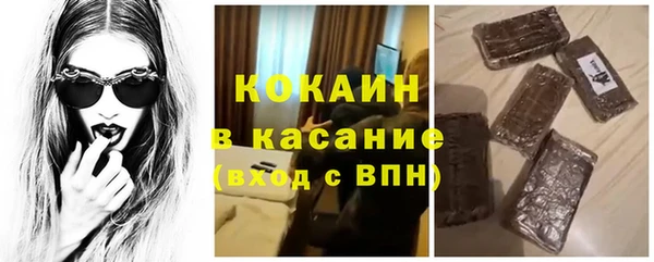 гидра Дмитров