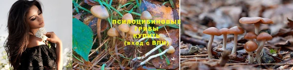 соль курить ск Дмитровск