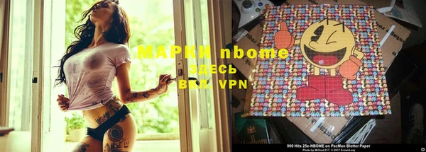 гидра Дмитров