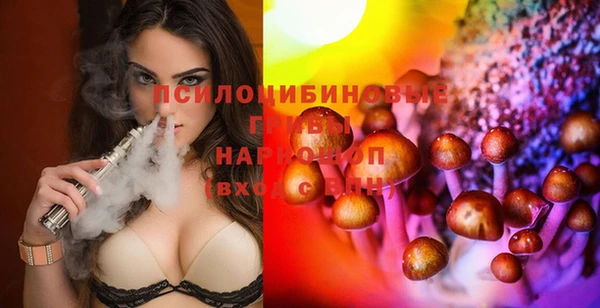 соль курить ск Дмитровск
