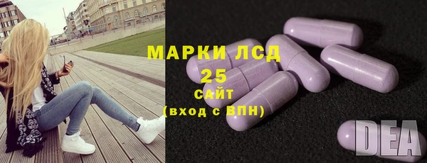 гидра Дмитров