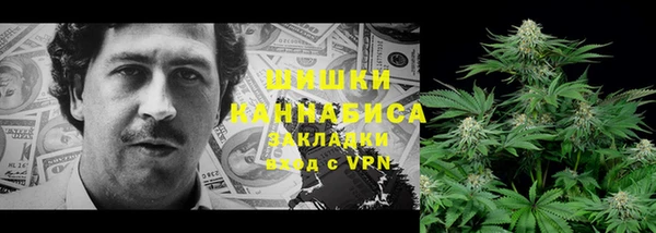 гидра Дмитров