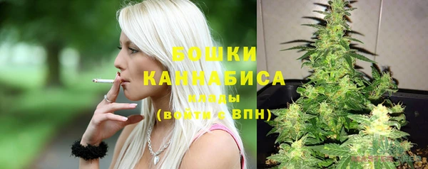 гидра Дмитров