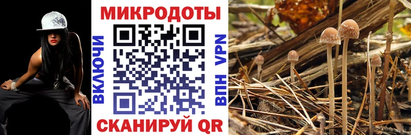 Галлюциногенные грибы мицелий  Купить  Киренск 